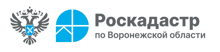 Роскадастр.